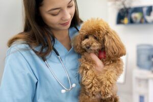 Terapia con patas: Osakidetza da luz verde a que los perros visiten a sus dueños en el hospital AulaPlus Formación AulaPlus Formación Terapia con patas: Osakidetza da luz verde a que los perros visiten a sus dueños en el hospital