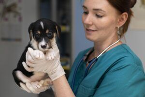 AulaPlus Formación Terapia con patas: Osakidetza da luz verde a que los perros visiten a sus dueños en el hospital